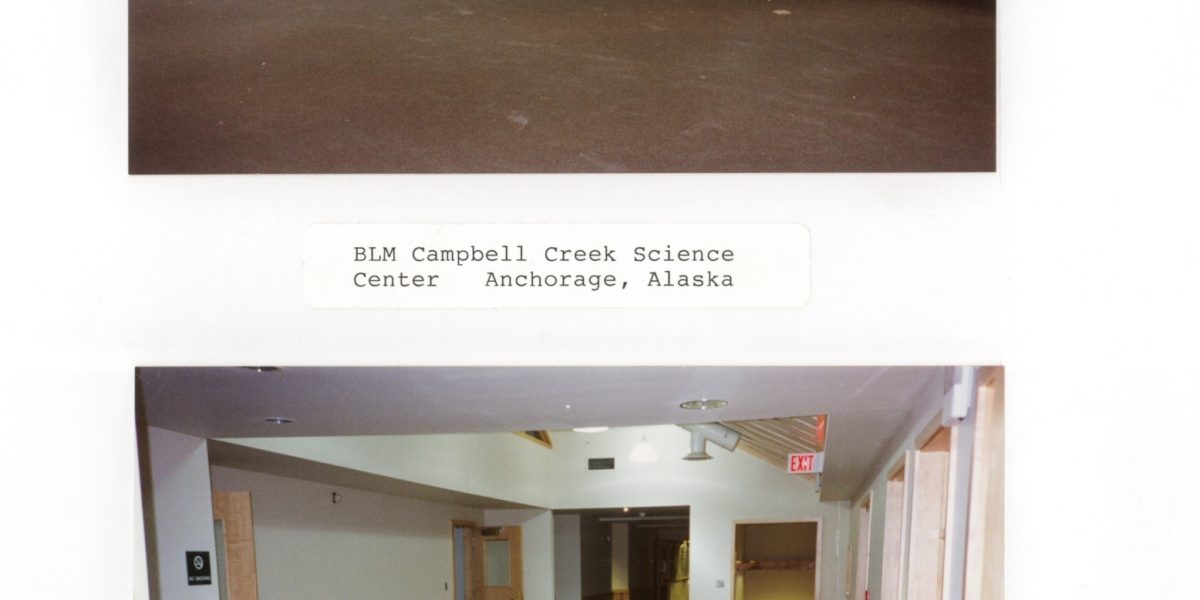 Campbell Creek inside
