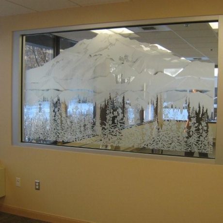Northern Ortho 2