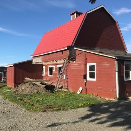 Musk Ox 6 6 19 Lift Day 3